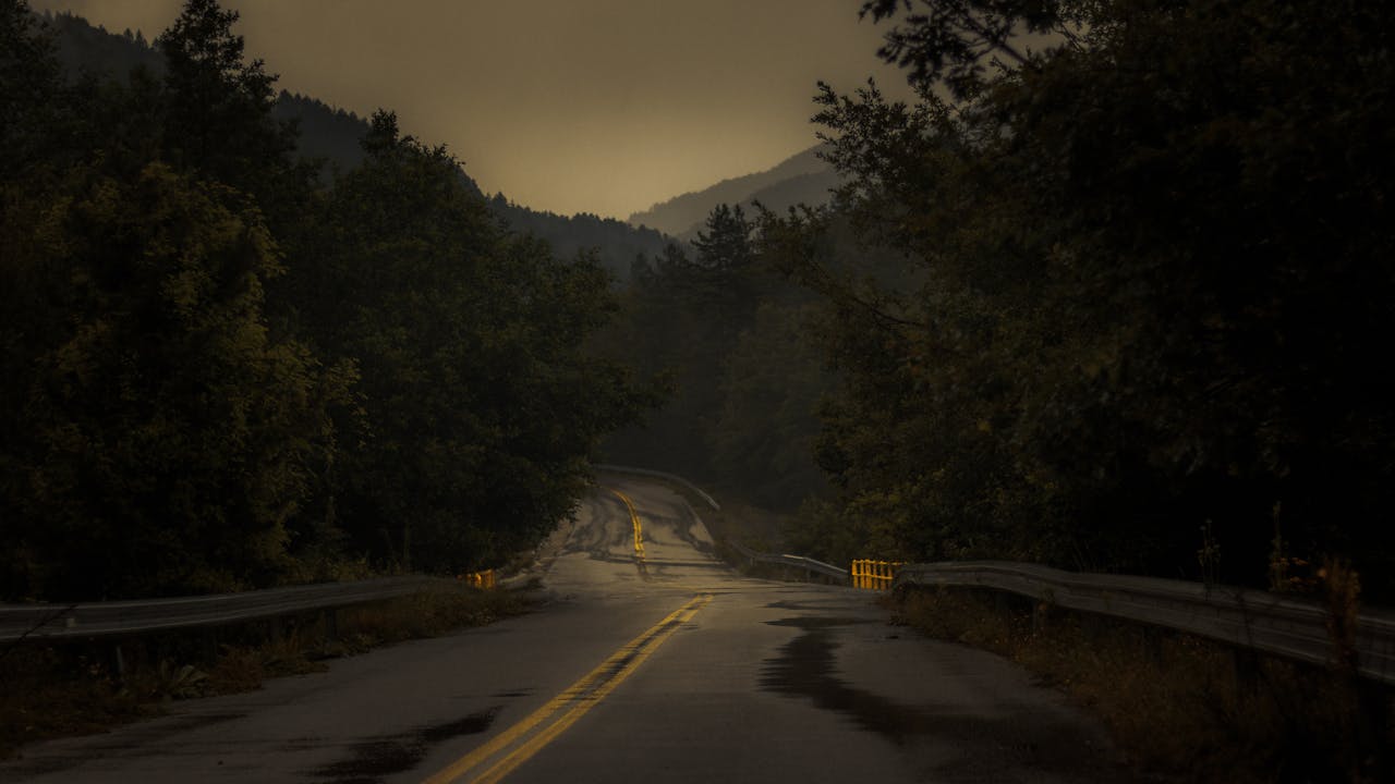 A misty mountain road at dawn in Greece, surrounded by lush trees and a tranquil atmosphere.